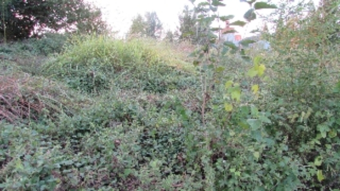 송진리 263외 전경