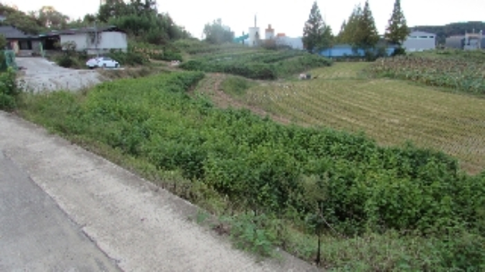 송진리 262 주변 전경