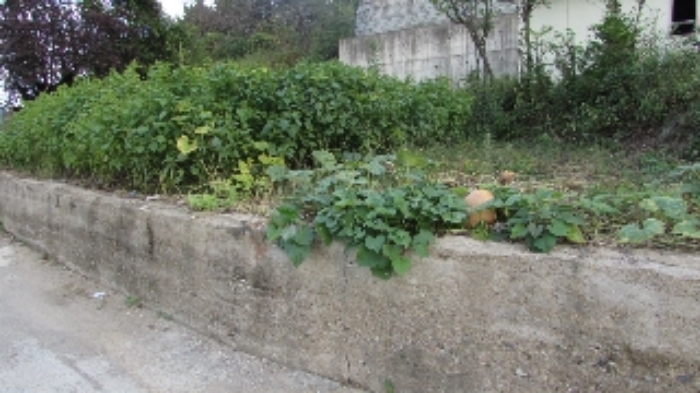 송진리 262-2외 전경