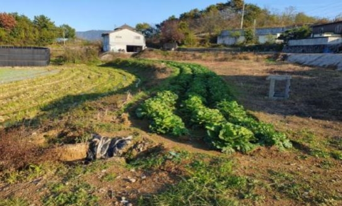 본건 기호[1] 토지 전경