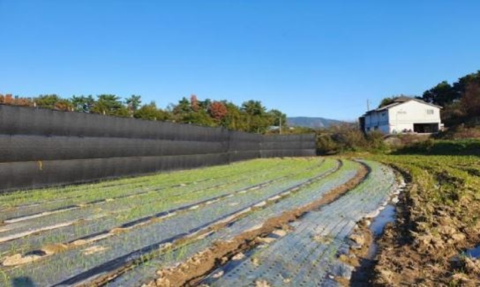 본건 기호[4] 토지 전경