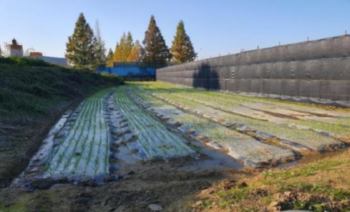 본건 기호[5,6] 토지 전경