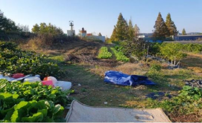 본건 기호[7] 토지 전경