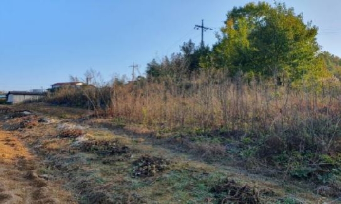 본건 기호[7] 토지 전경