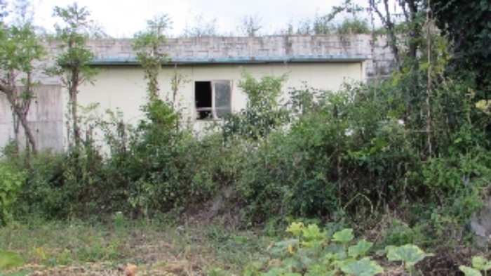 송진리 262-3 주변 전경