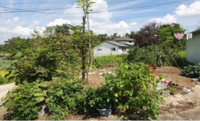 제시외수목 전경