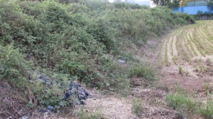 송진리 260-2외 전경