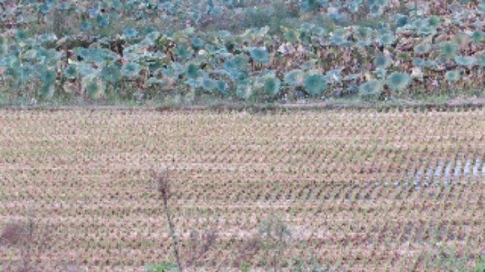 송진리 269 주변 전경