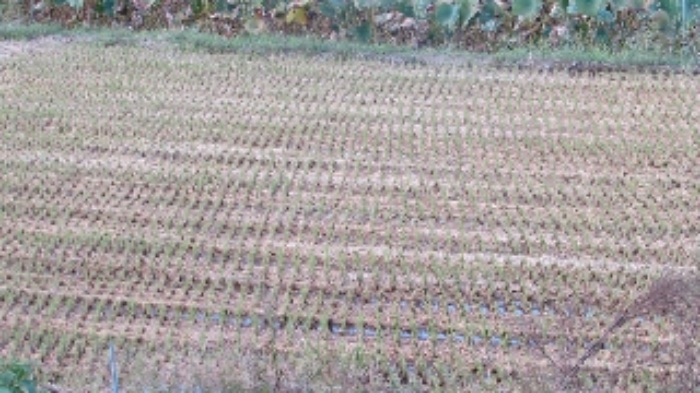 송진리 269외 전경