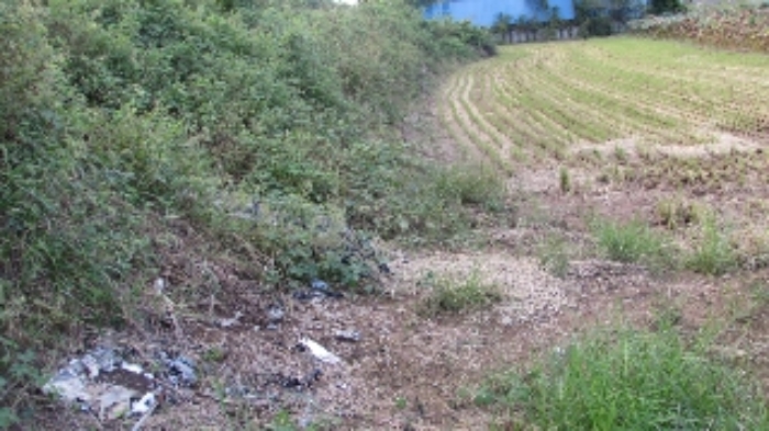 송진리 260-2외 전경