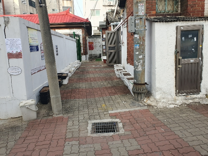 북측 인접 364-4 진입로 상황