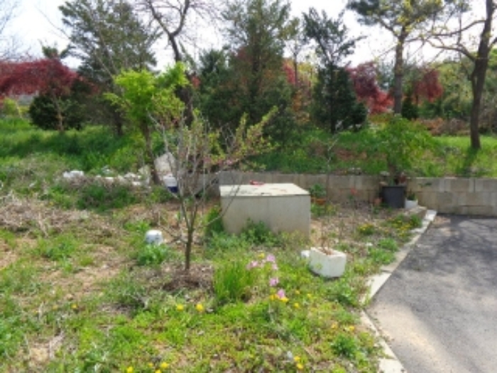 [목록 1] 북동쪽 지상의 모습