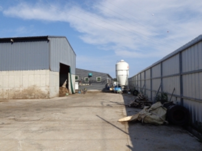 [목록 1] 남서쪽 가장자리 지상의 모습