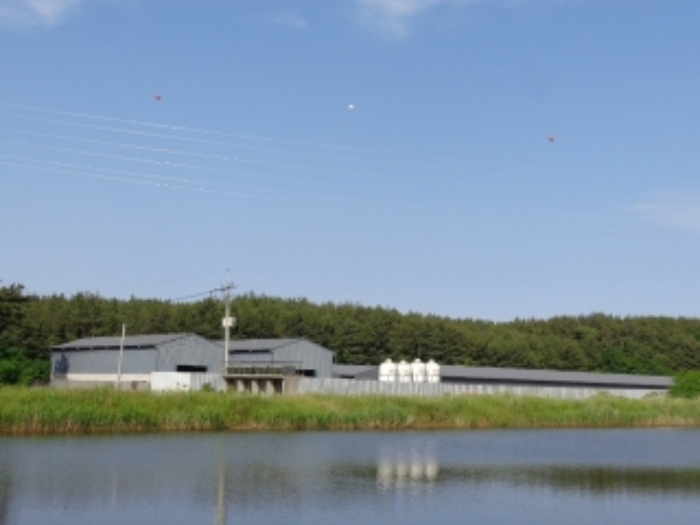 [목록 1, 2, 3, 4, 5] 남서쪽에서 바라본 모습