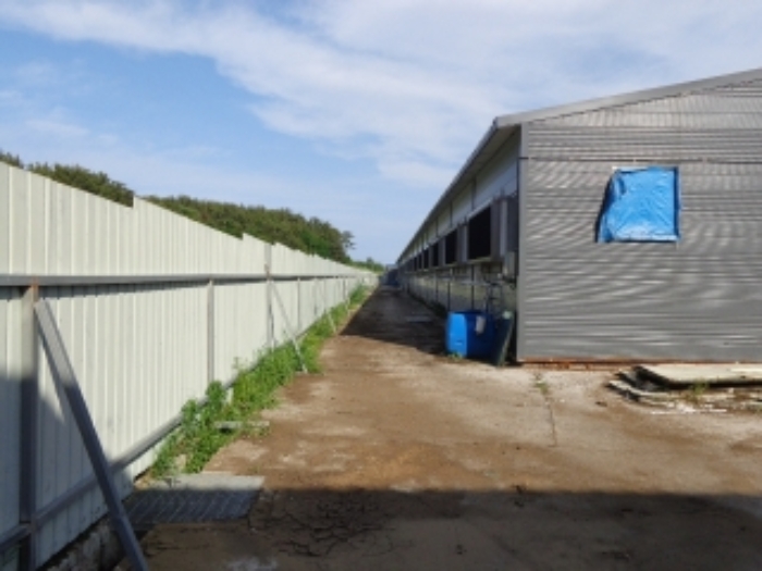 [목록 1] 서쪽에서 바라본 북쪽 가장자리 지상의 모습