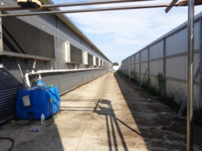 [목록 1] 서쪽에서 바라본 남쪽 가장자리 지상의 모습