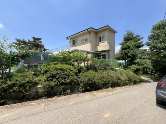 제시외 수목 전경2