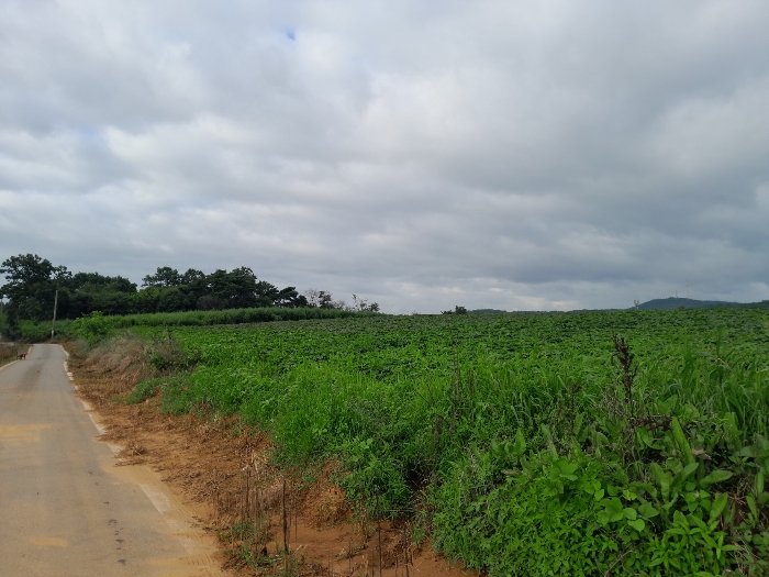 본건 전경(북동측에서 촬영)