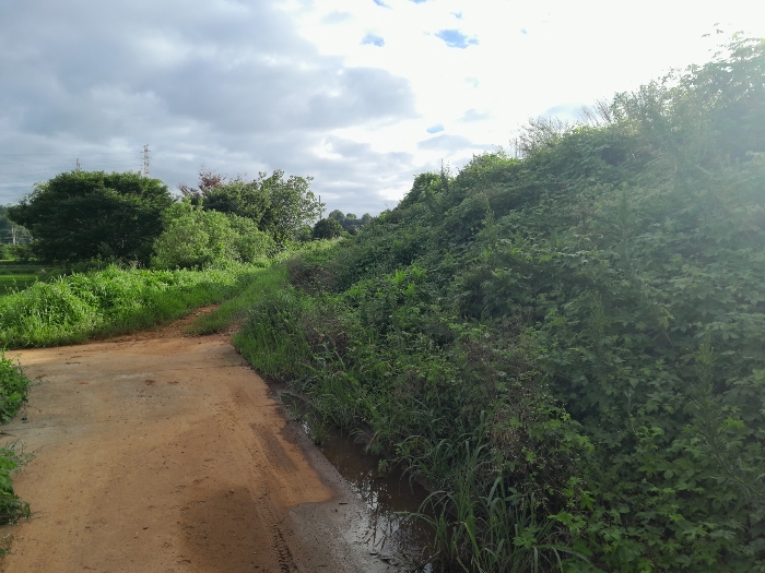 본건 전경(남서측에서 촬영)