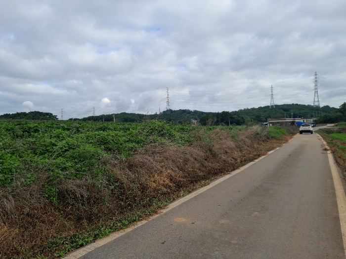 본건 전경(남동측에서 촬영)