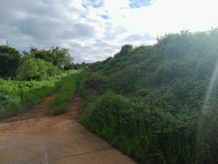 본건 현황 도로부분