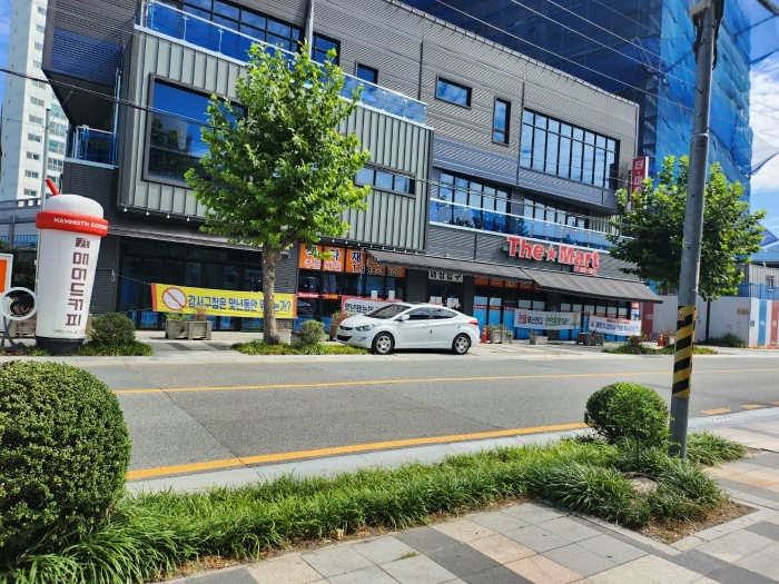 본건 전경(남서측 도로에서 촬영)