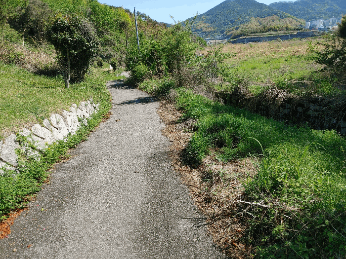 기호 5 토지전경