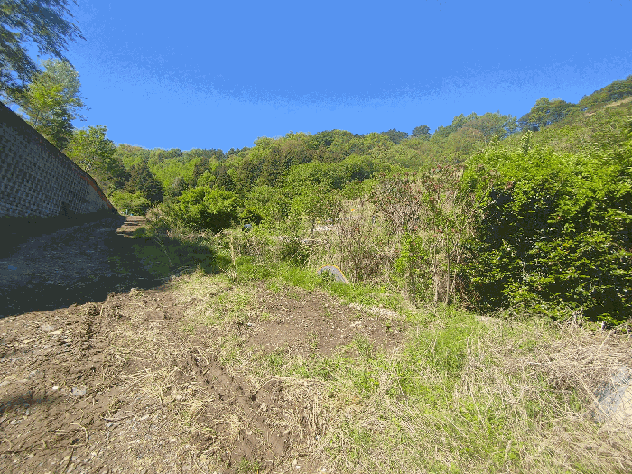 기호 4 토지전경