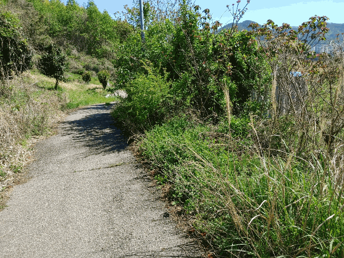 기호 6 토지전경