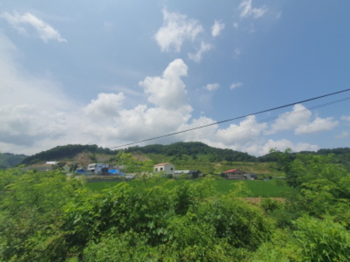 목록 전체 전경