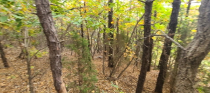 이건 목록 토지 전경(12)