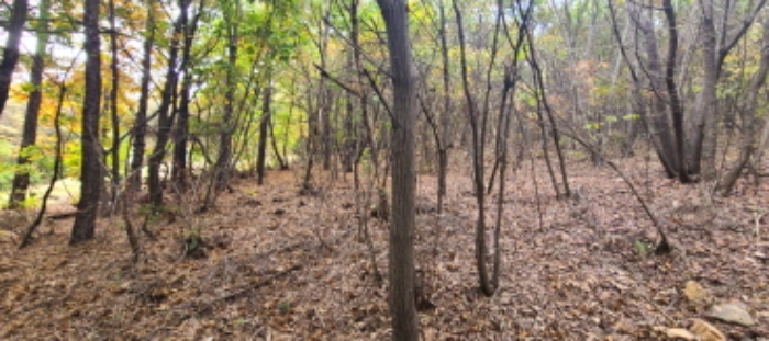 이건 목록 토지 전경(4)