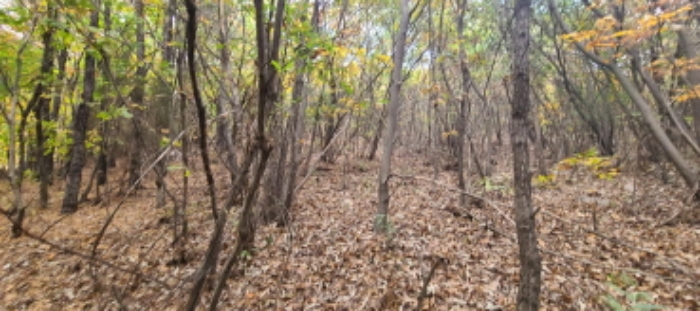 이건 목록 토지 전경(5)