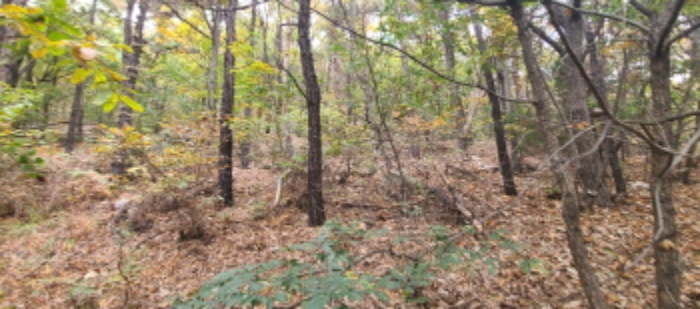 이건 목록 토지 전경(7)