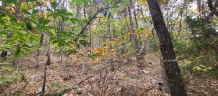 이건 목록 토지 전경(8)