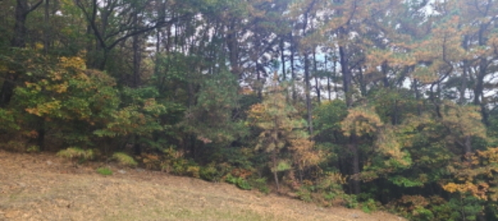 이건 목록 토지 전경(13)