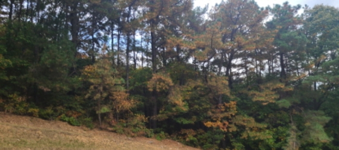 이건 목록 토지 전경(14)