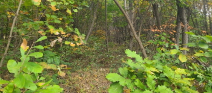 이건 목록 토지 전경(1)