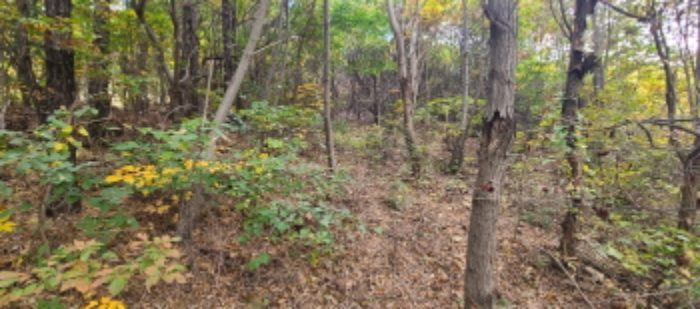 이건 목록 토지 전경(2)