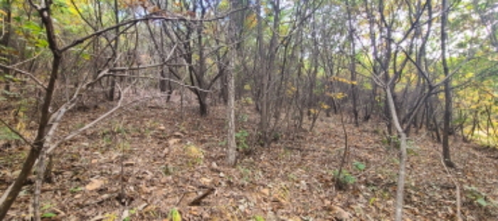 이건 목록 토지 전경(3)