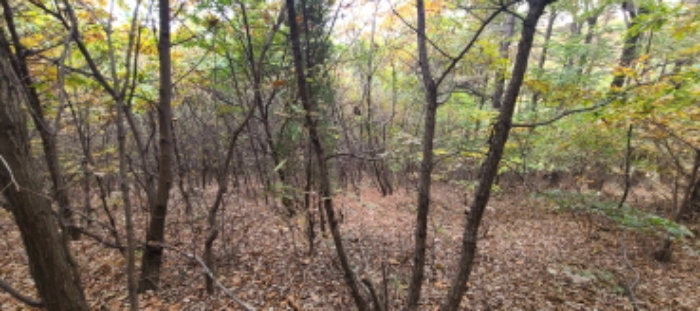 이건 목록 토지 전경(9)