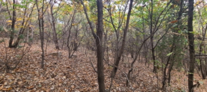 이건 목록 토지 전경(10)