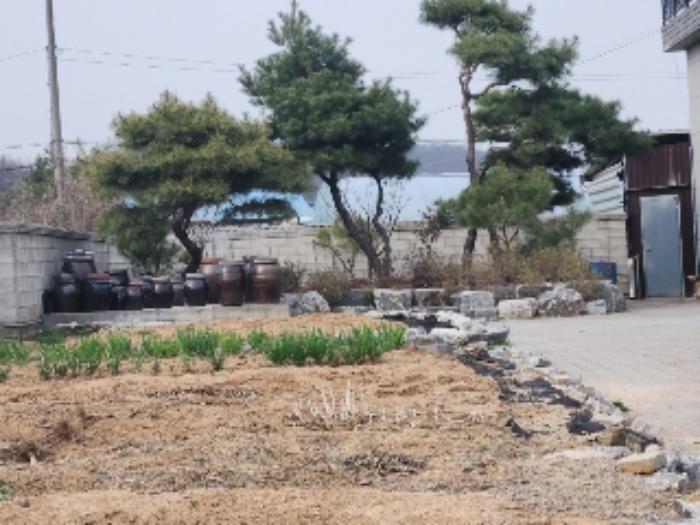 제시외 장독대 및 조경수