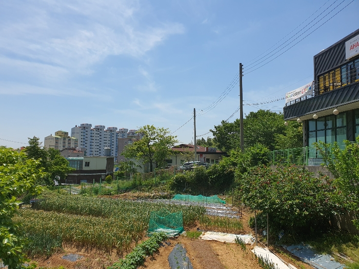 [본건전경 및 주변전경(동측 촬영)]