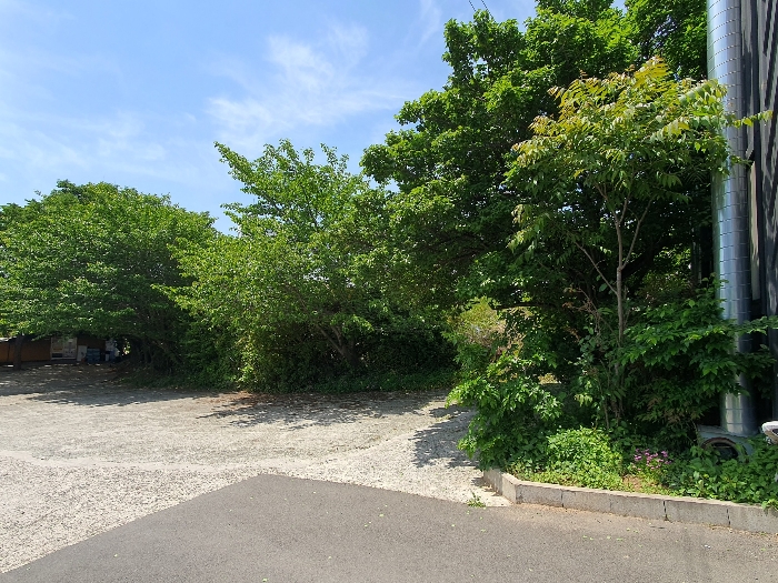 [본건토지(남동측 촬영)] : 일련번호 1-2