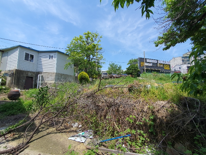 [본건토지(남동측 촬영)] : 일련번호 3-4