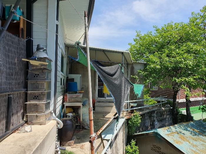 [제시외 건물 : 일련번호 ㉣]