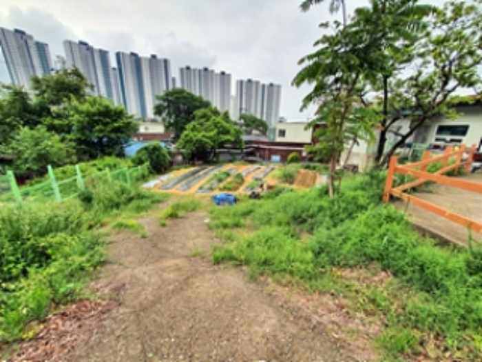 기호5 및 주변전경