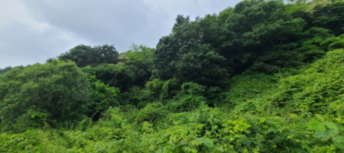 목록 2 토지 전경(1)