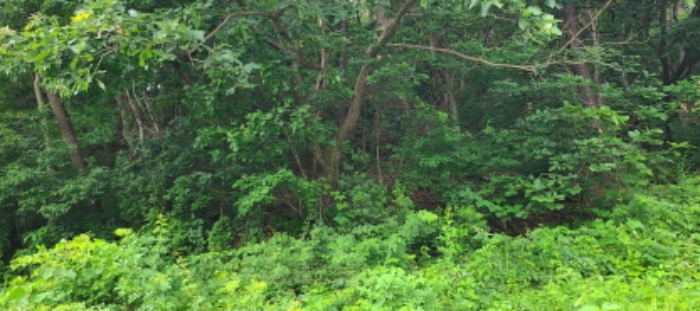 목록 1 토지 전경(1)